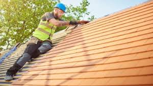Best Skylight Installation and Repair  in Mankato, MN